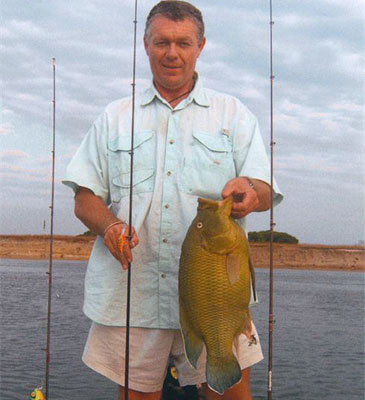 2533_Yellow-belly Bream_Serranochromis robustus.jpg 2533_Yellow-belly Bream_Serranochromis robustus.jpg